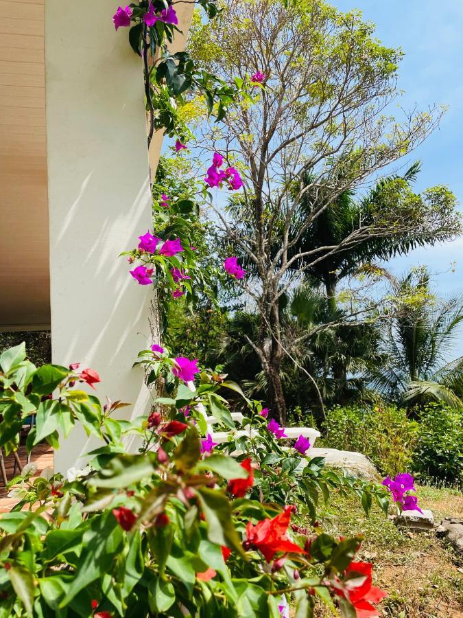 Coibahouse Hotel Santa Catalina Exterior foto